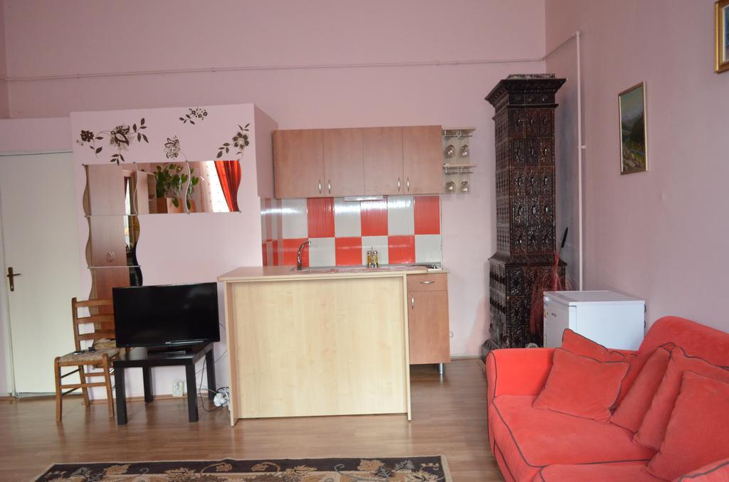 Cosy Studio Apartment Cluj-Napoca