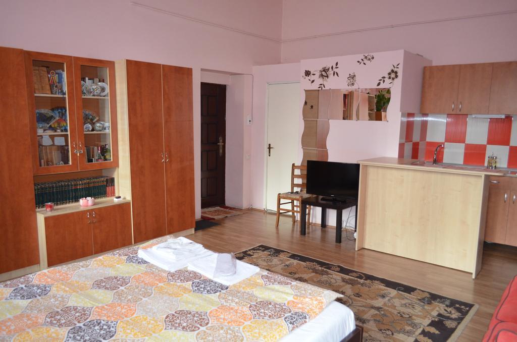 Cosy Studio * Cluj-Napoca